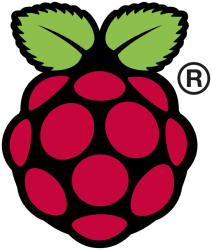 Raspberry PI Logo